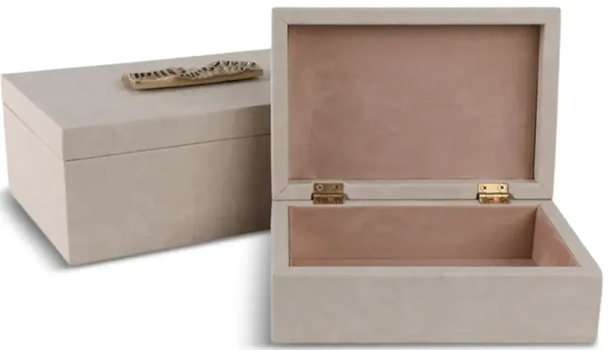 Marquis Boxes Set Of 2