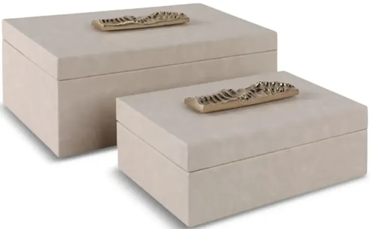 Marquis Boxes Set Of 2