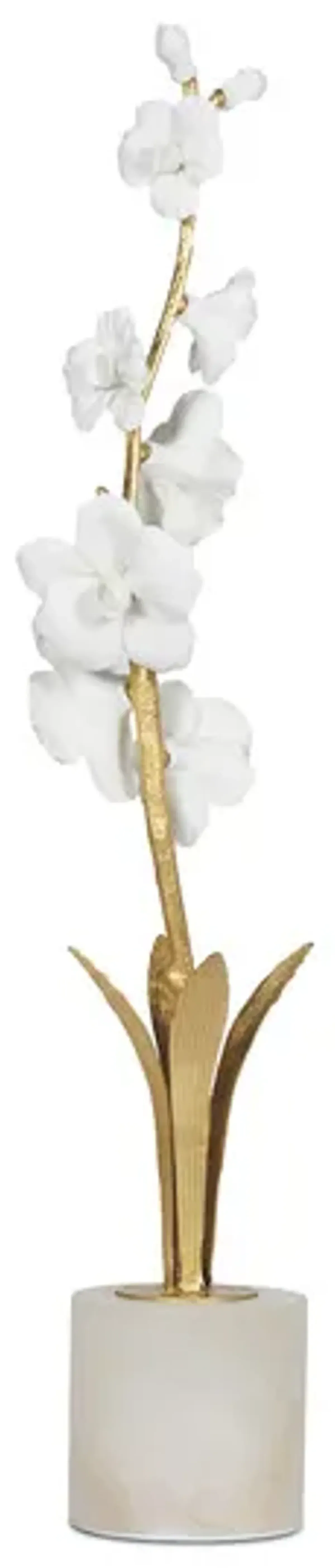 Thylane I Orchid Sculpture 