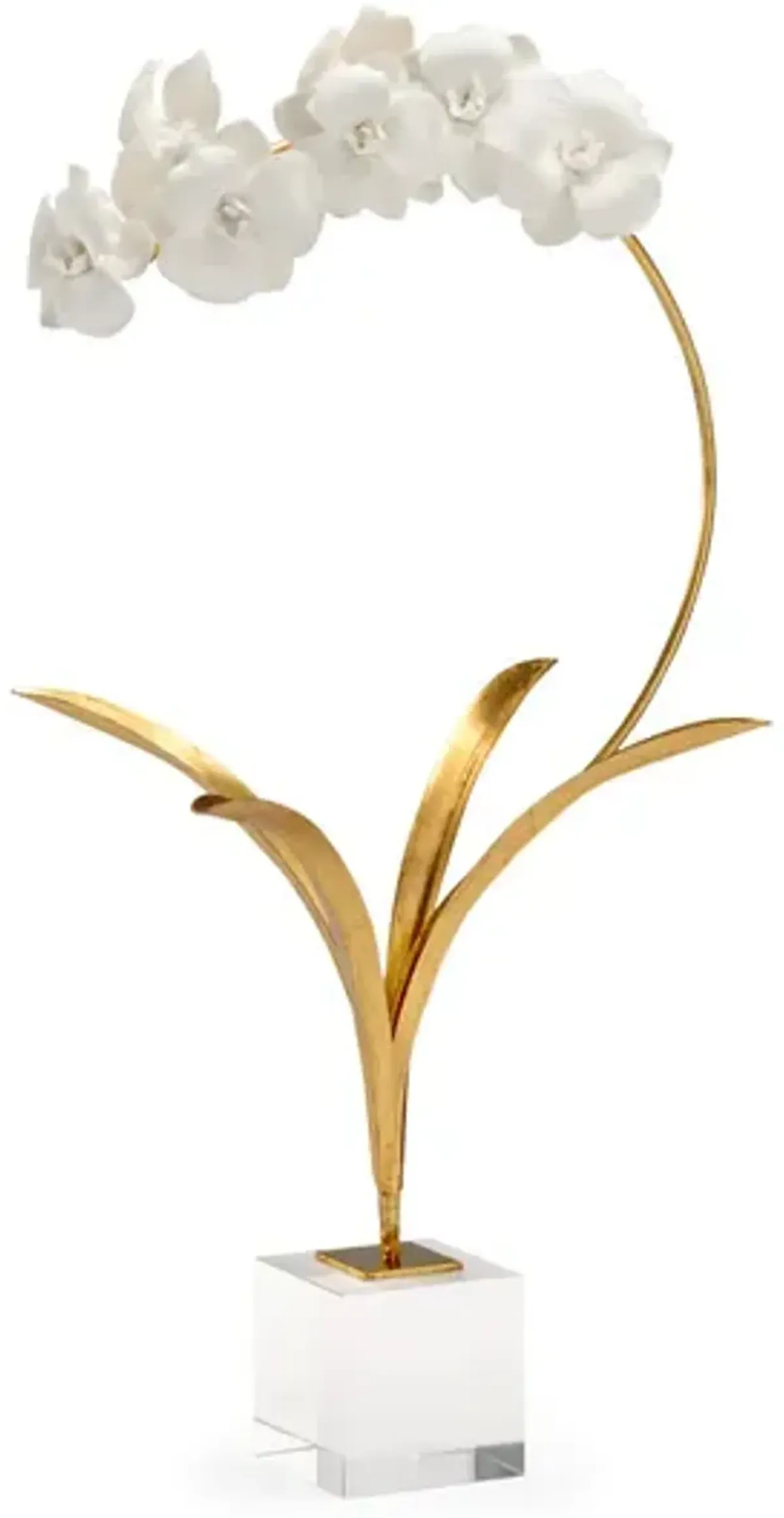 Small Orchid On Stand