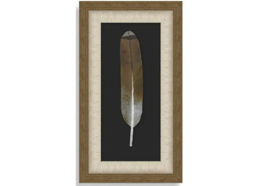 Feather Wall Art