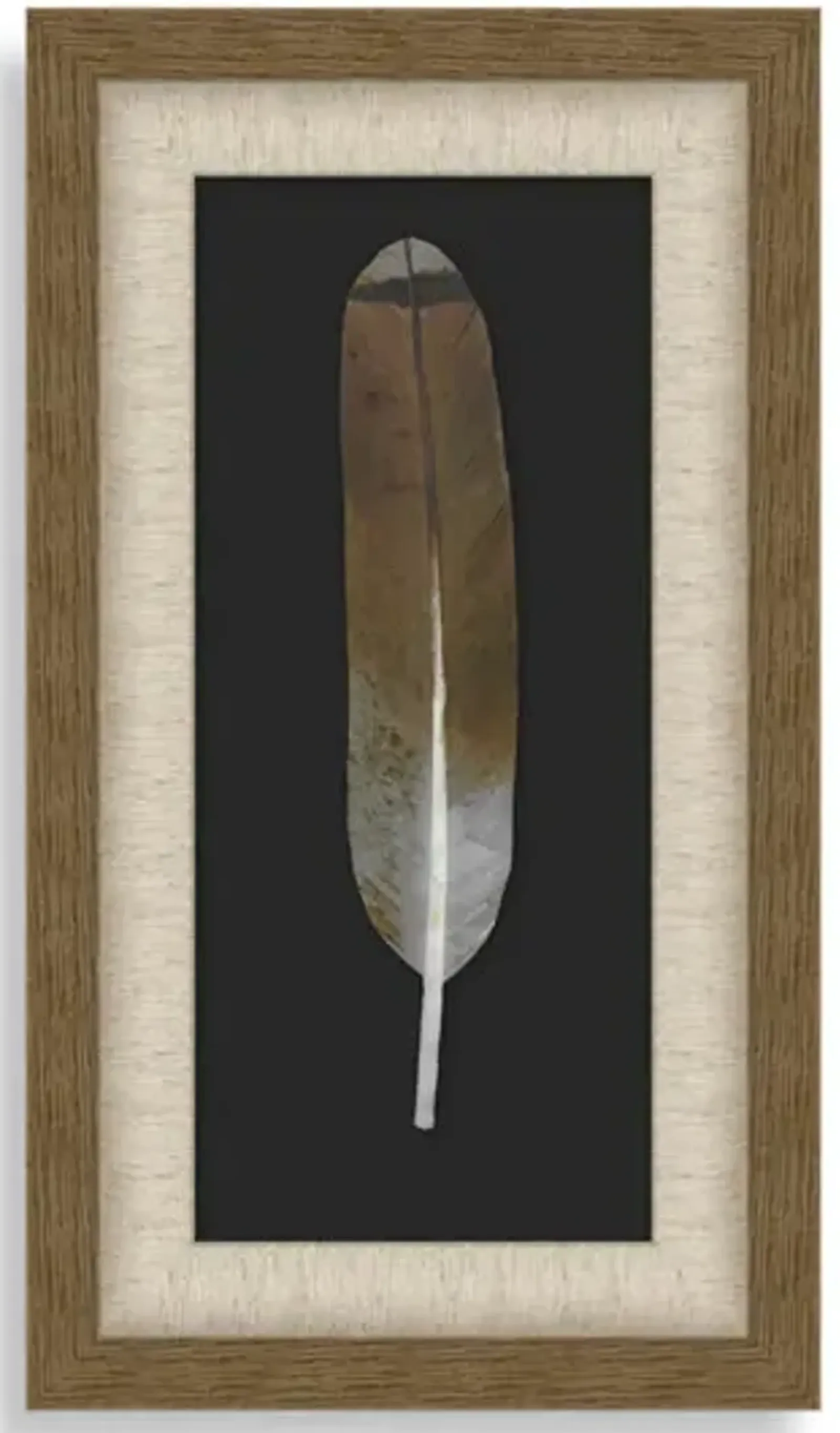 Feather Wall Art