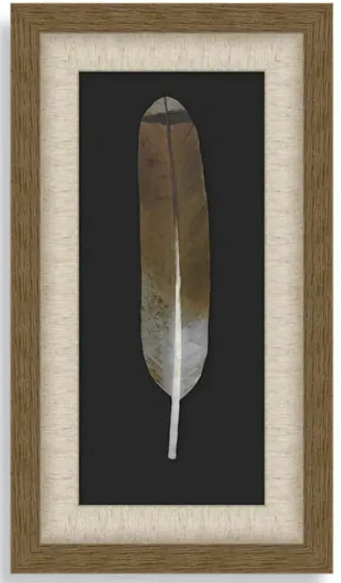 Feather Wall Art