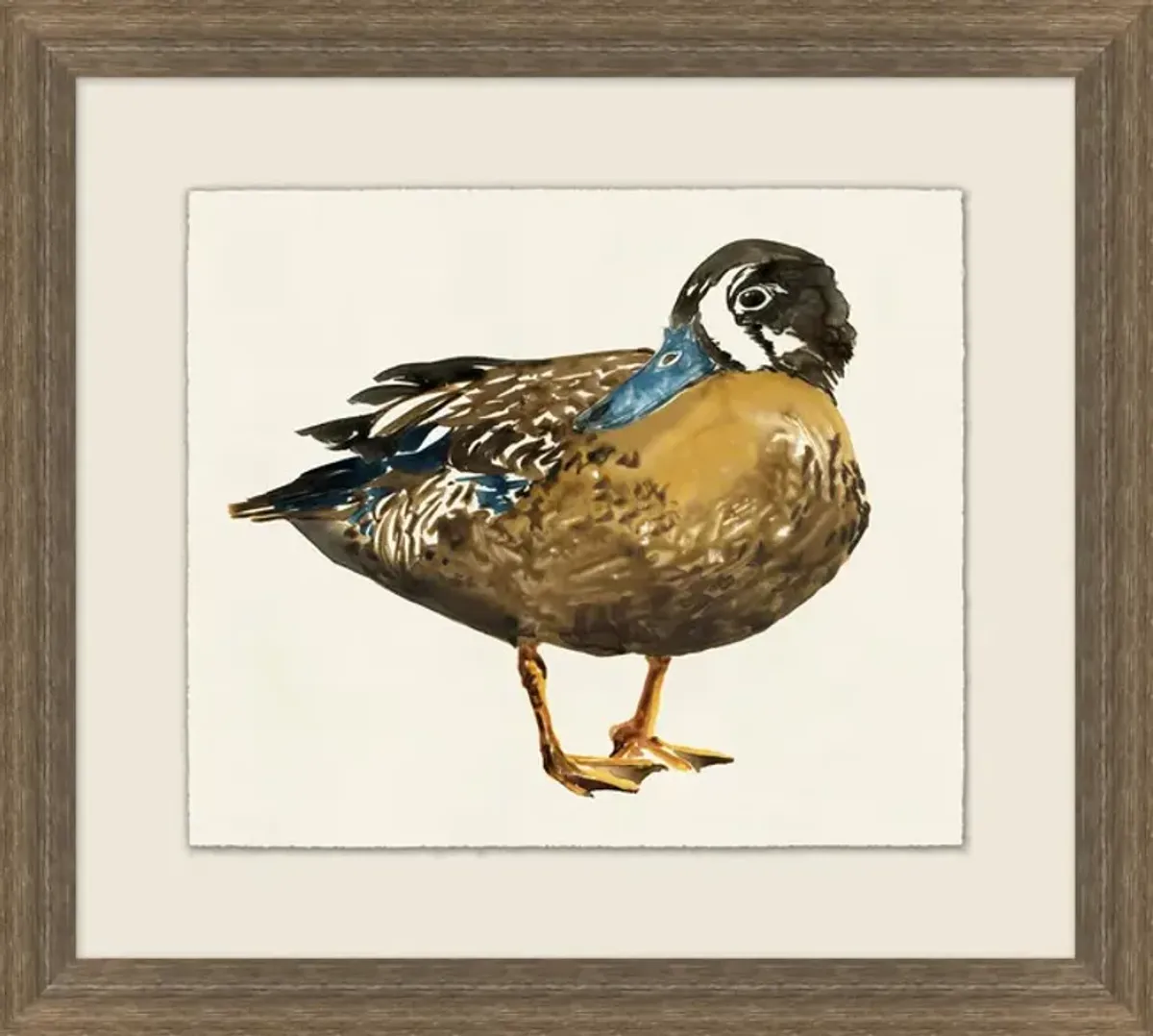 Wood Duck I Framed Art