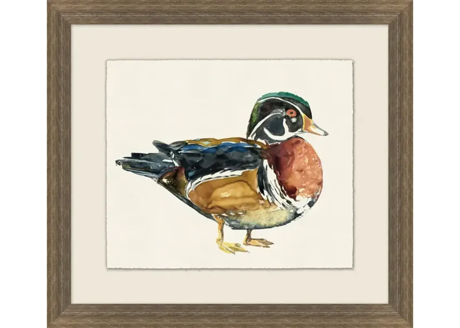 Wood Duck II Framed Art