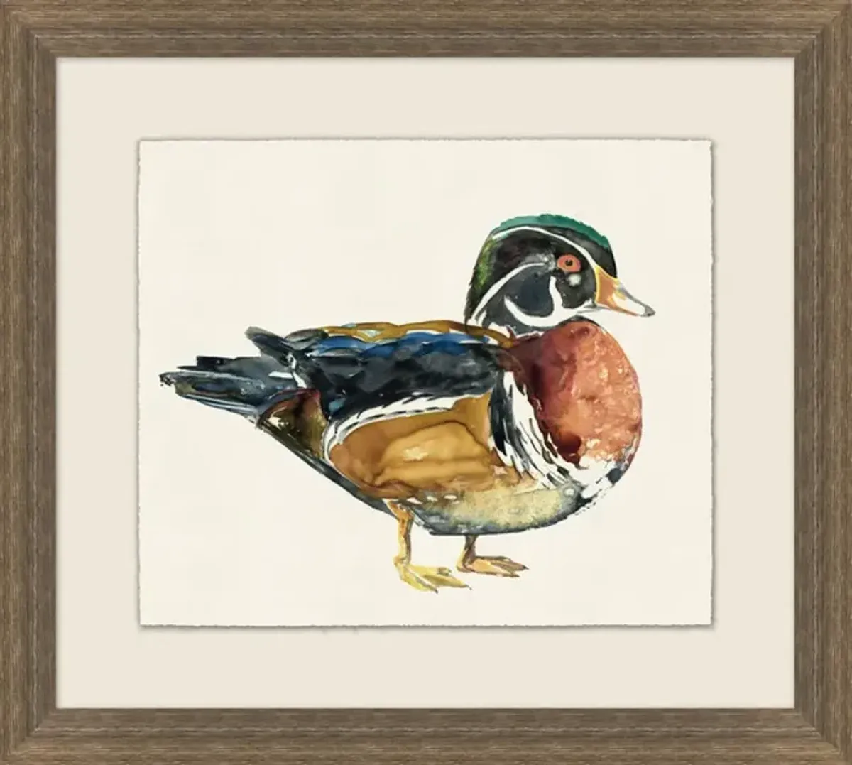 Wood Duck II Framed Art