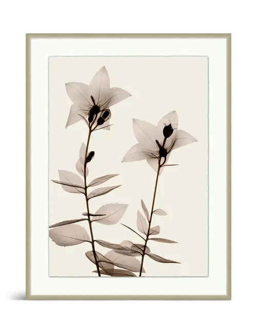 Sepia Floral I Framed Art