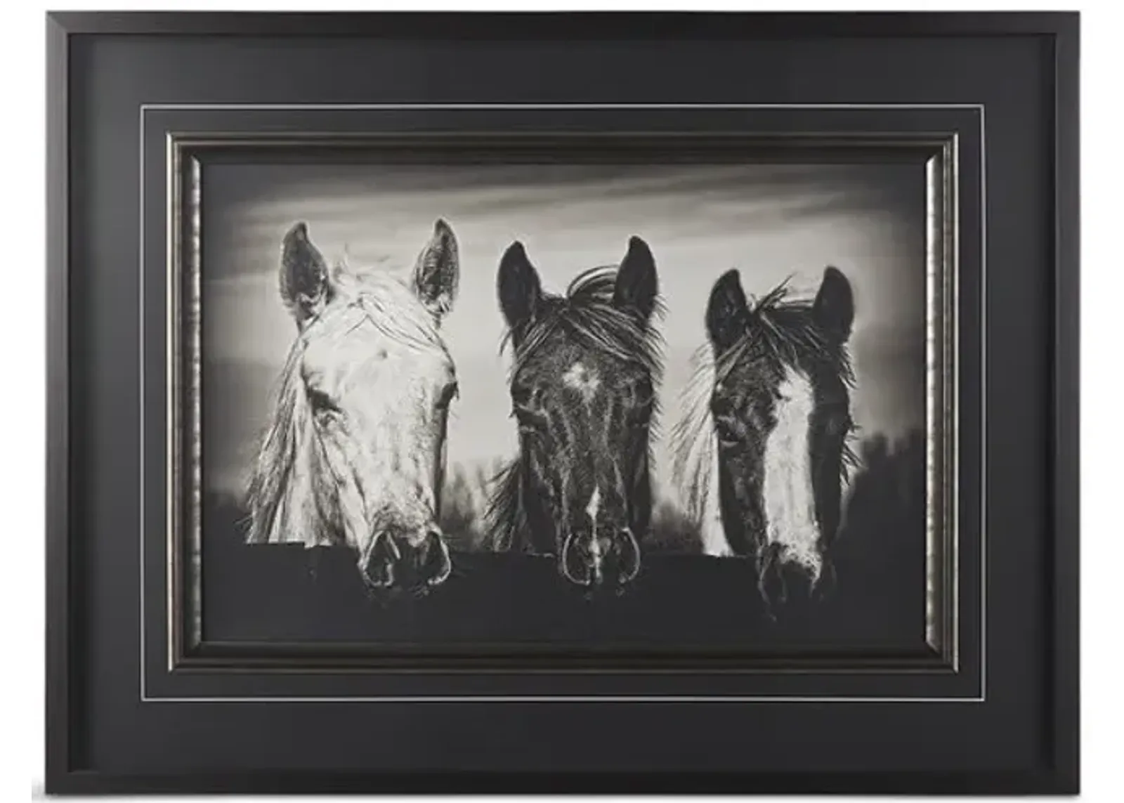 Three Amigos I Framed Print