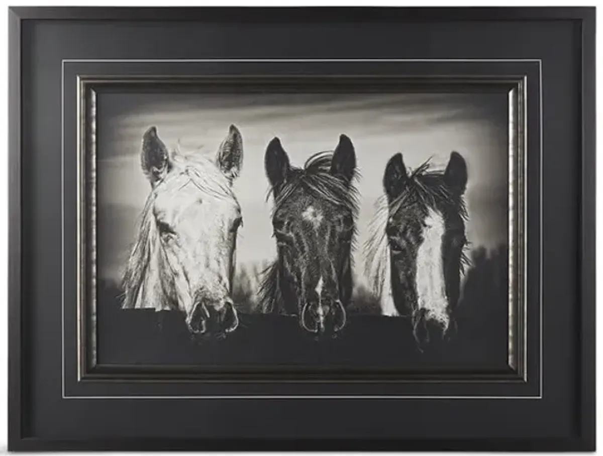 Three Amigos I Framed Print