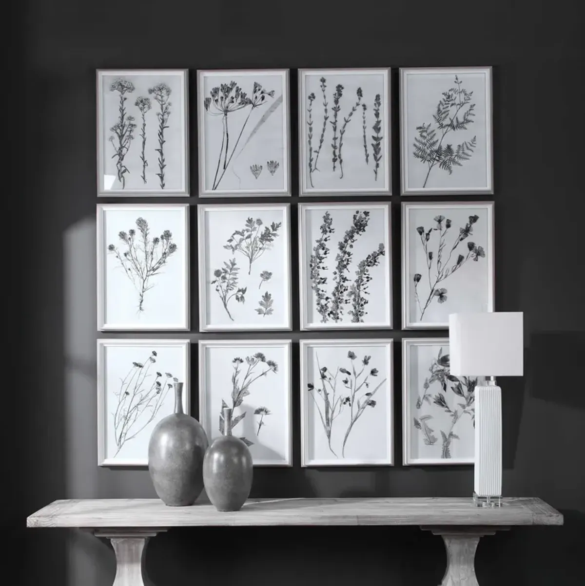 Botanicals Framed Prints - Set of 12