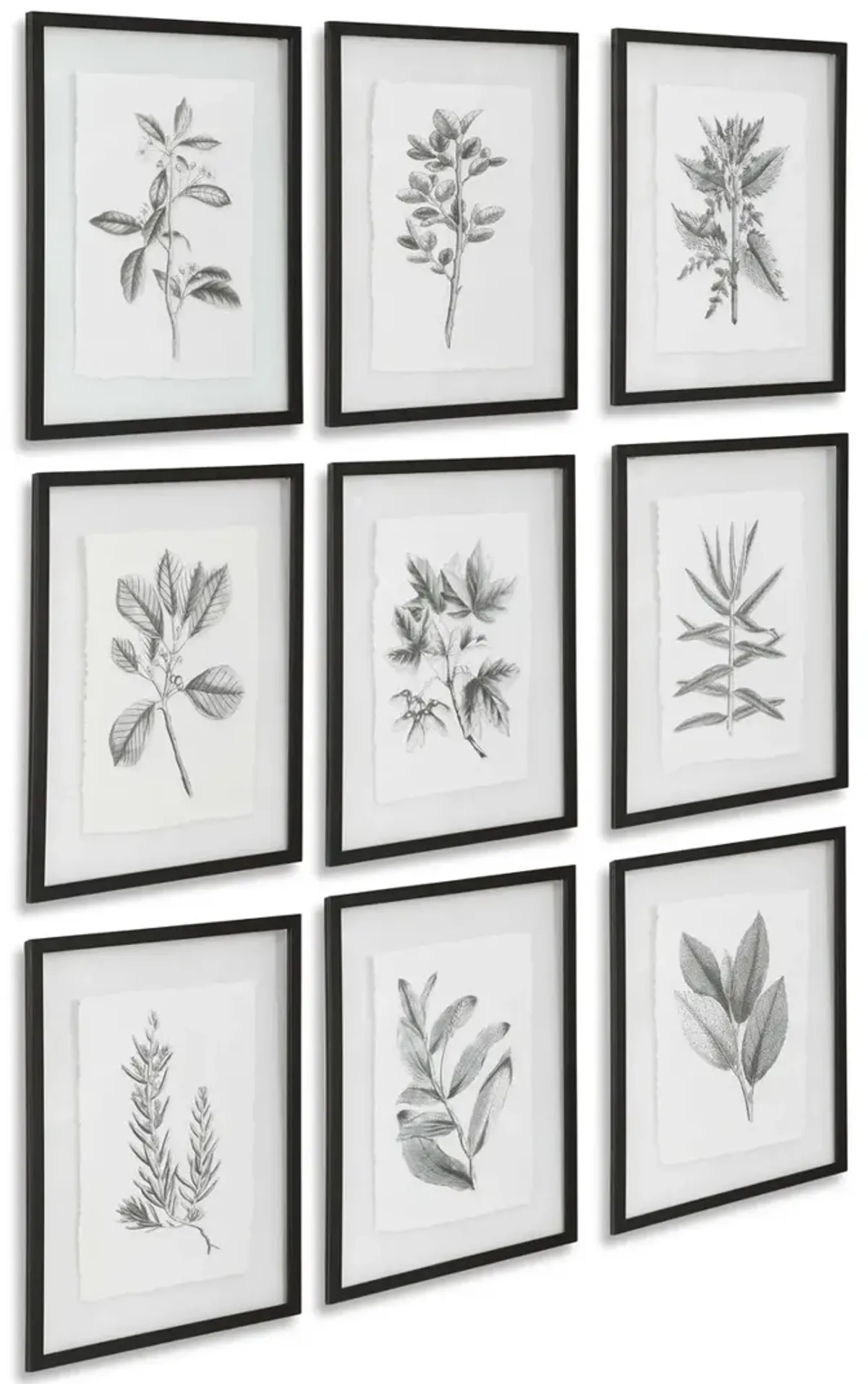 Farmhouse Florals Framed Prints - Set of 9 