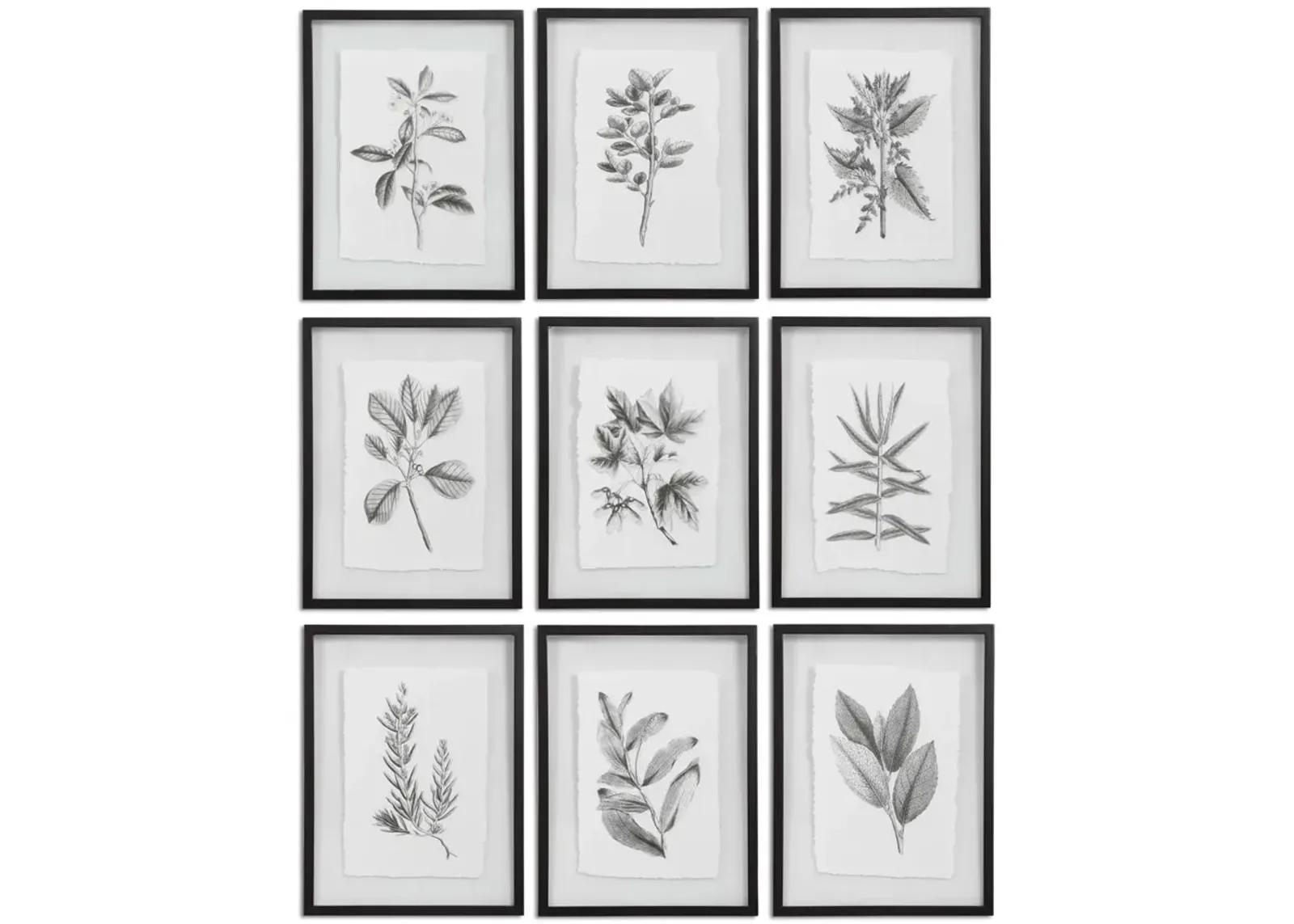 Farmhouse Florals Framed Prints - Set of 9 