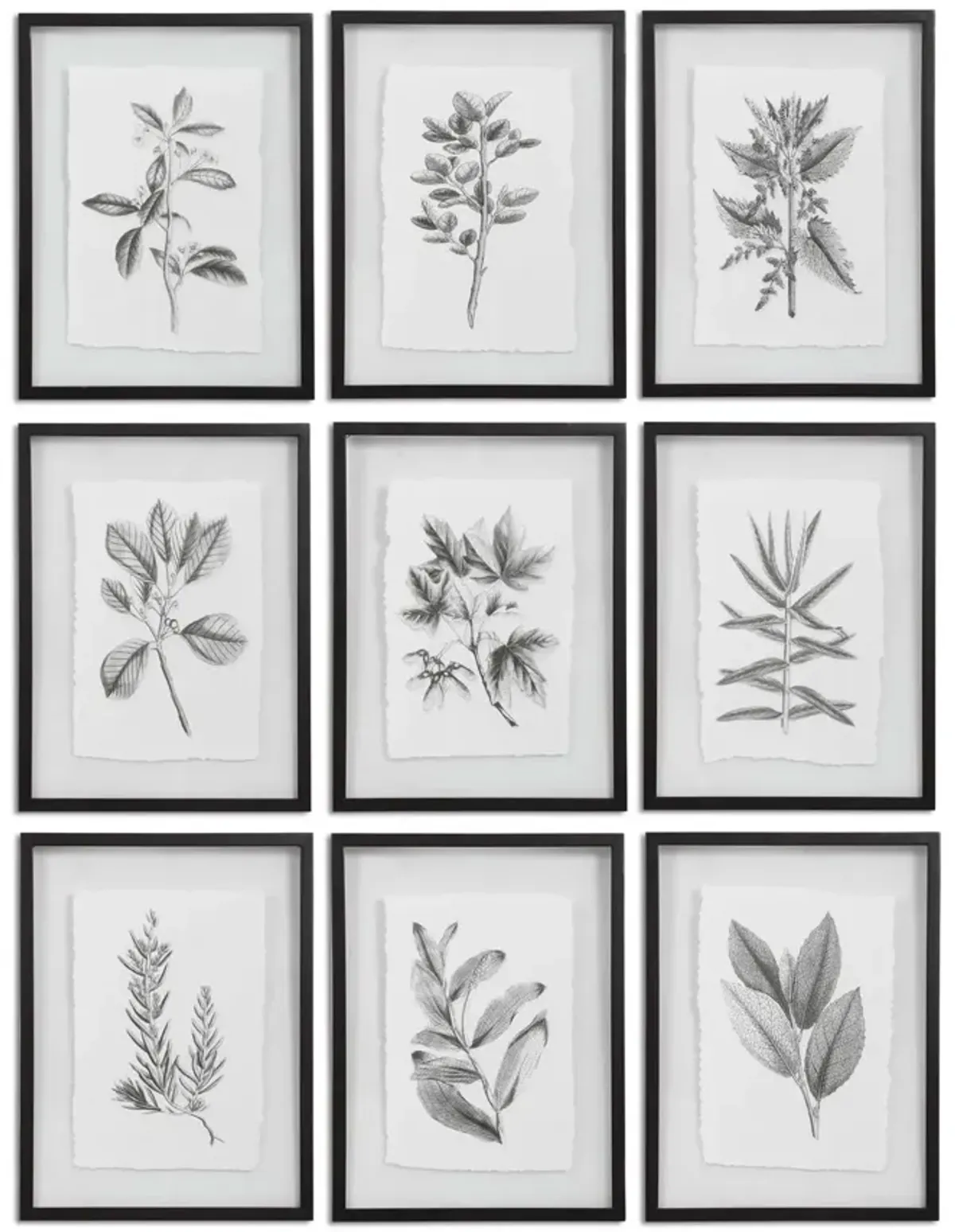 Farmhouse Florals Framed Prints - Set of 9 