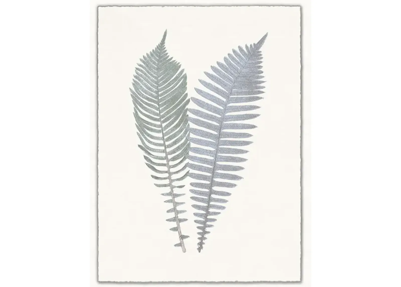 Arden Ferns 6 Framed Wall Art