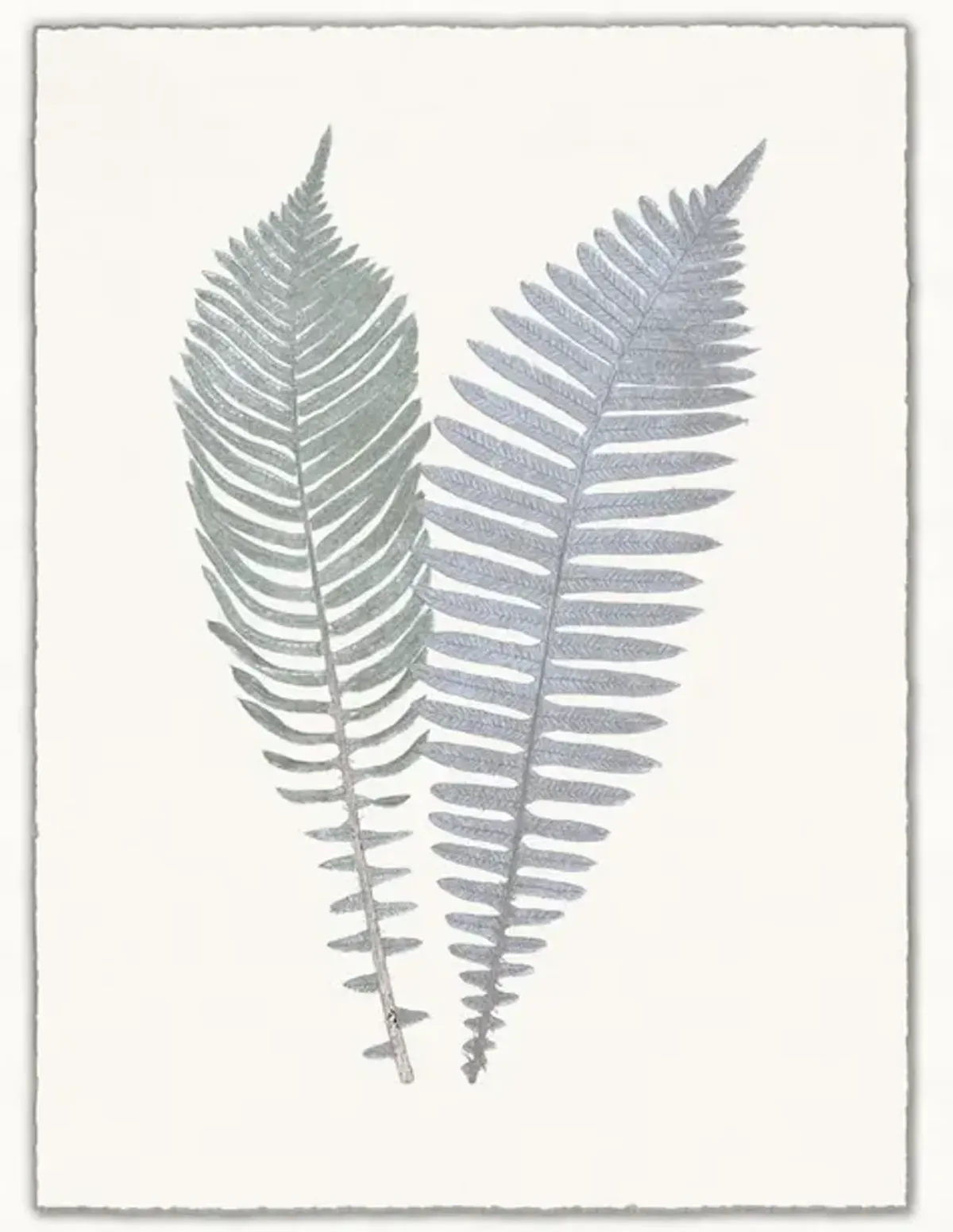 Arden Ferns 6 Framed Wall Art