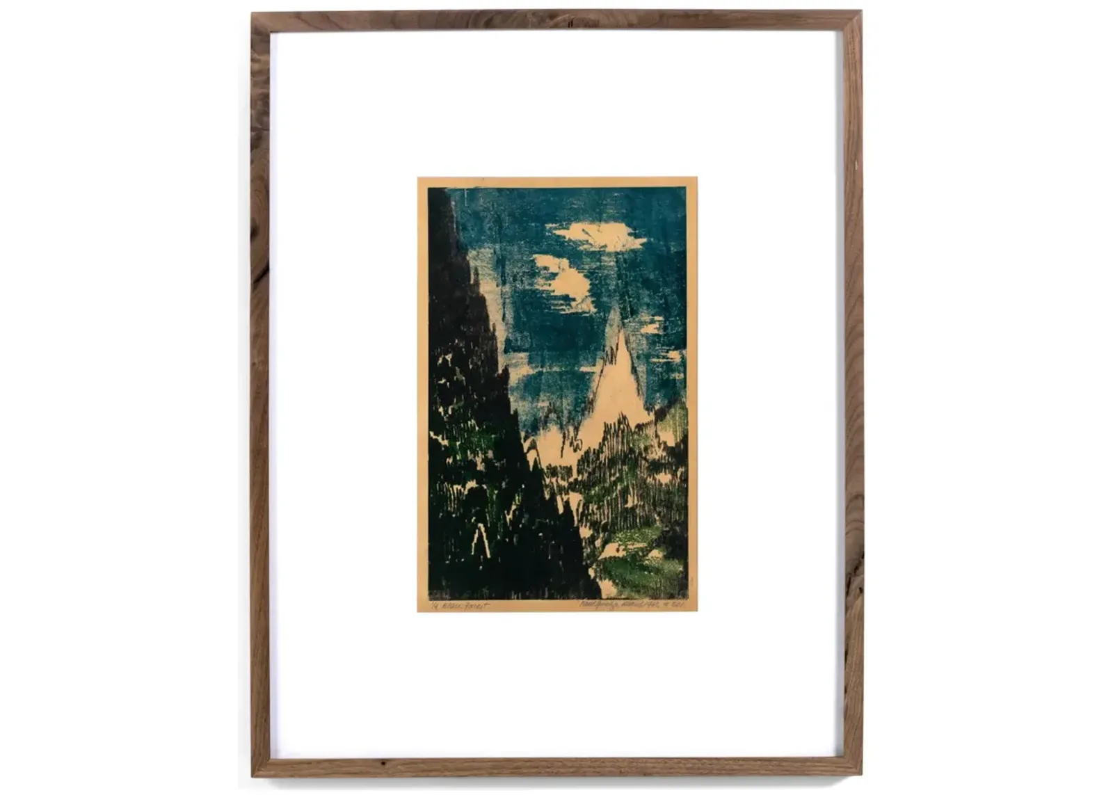 Black Forest Framed Print