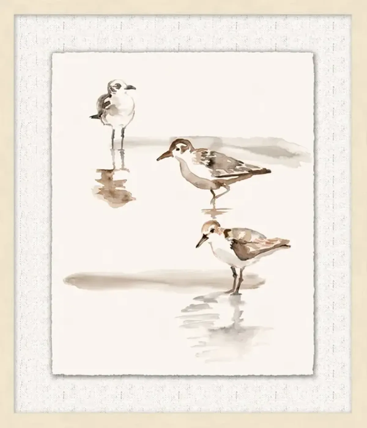 Shoreline Flock 1 Framed Art