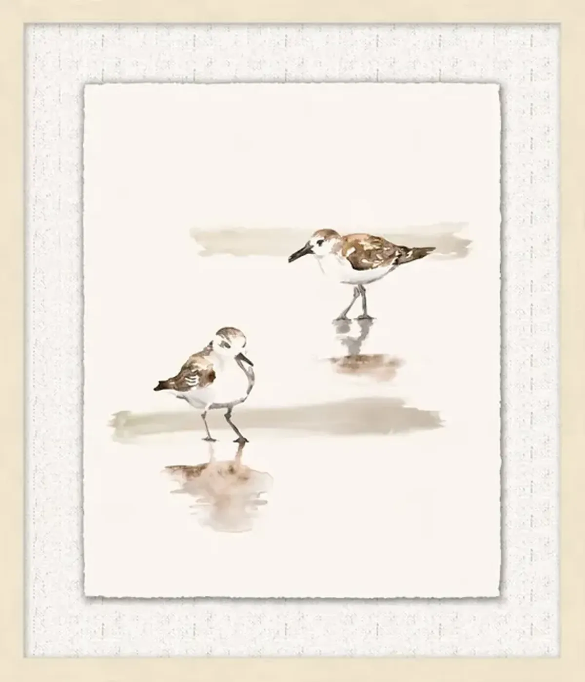 Shoreline Flock 2 Framed Art