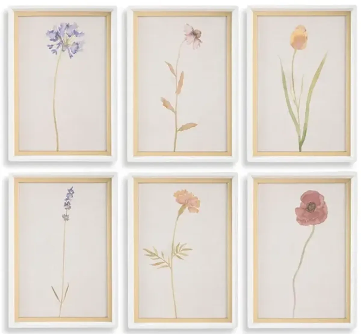 Wild Flourish Framed Art Set Of 6