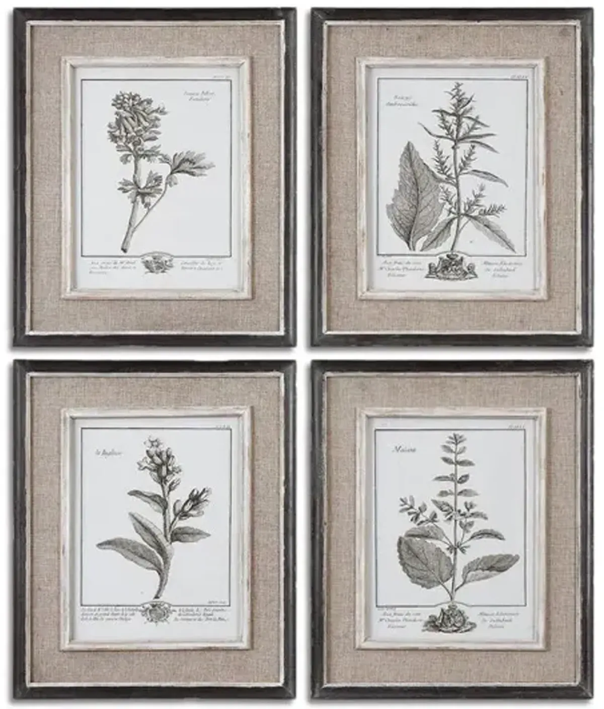 Casual Grey Study Framed Art Set Of 4