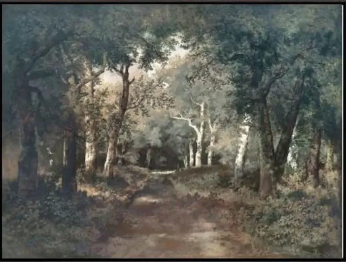 Through The Forest I Framed Art