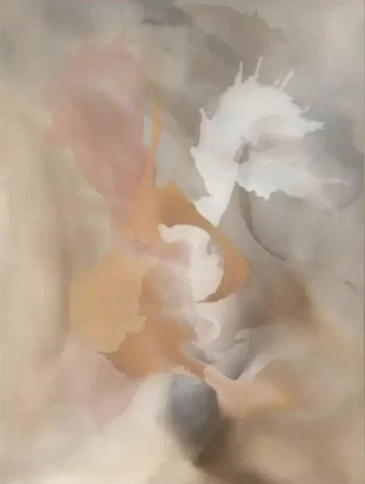 Candy Aurora Framed Art