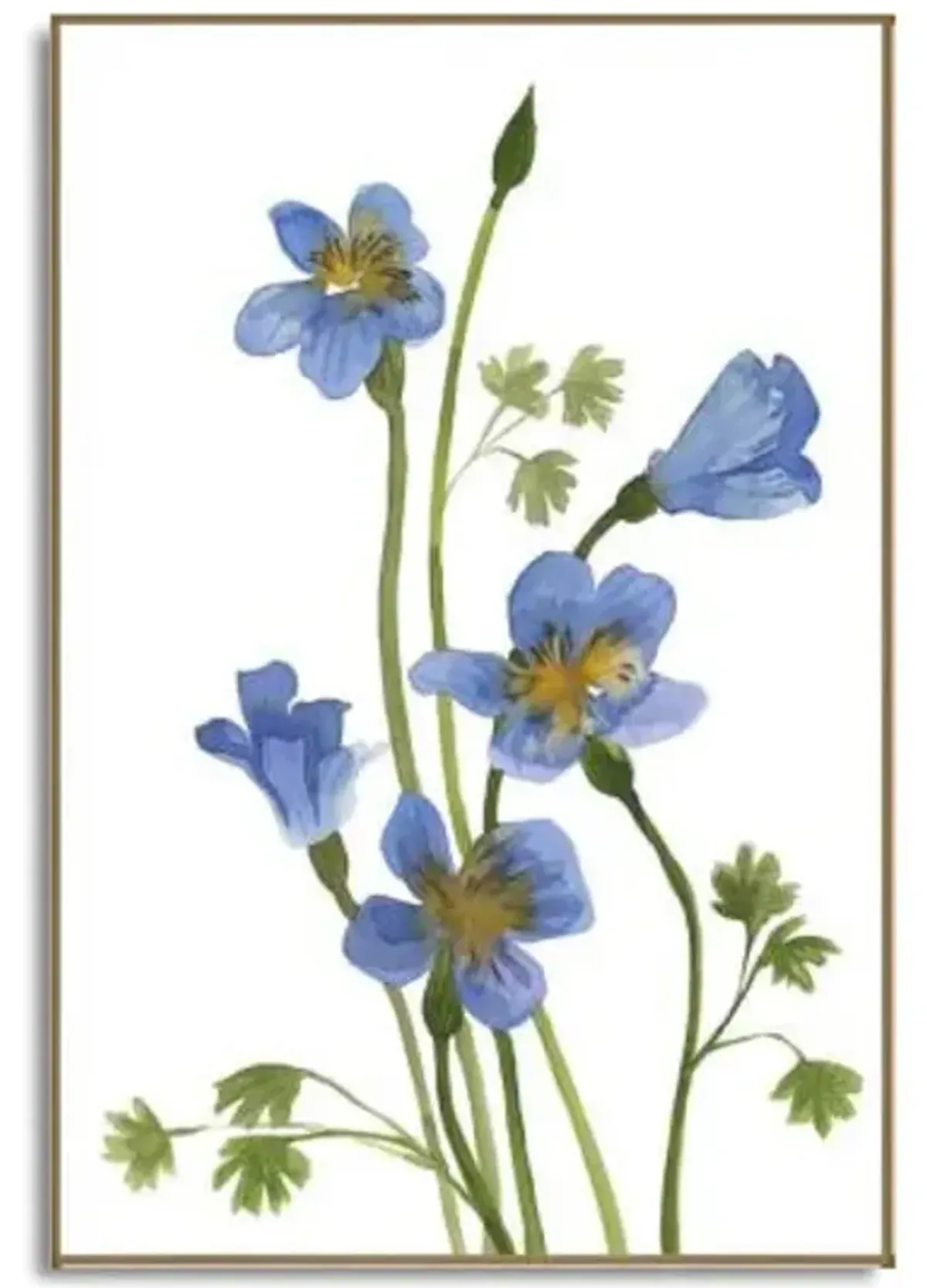 Morning Wisdom II Framed Art