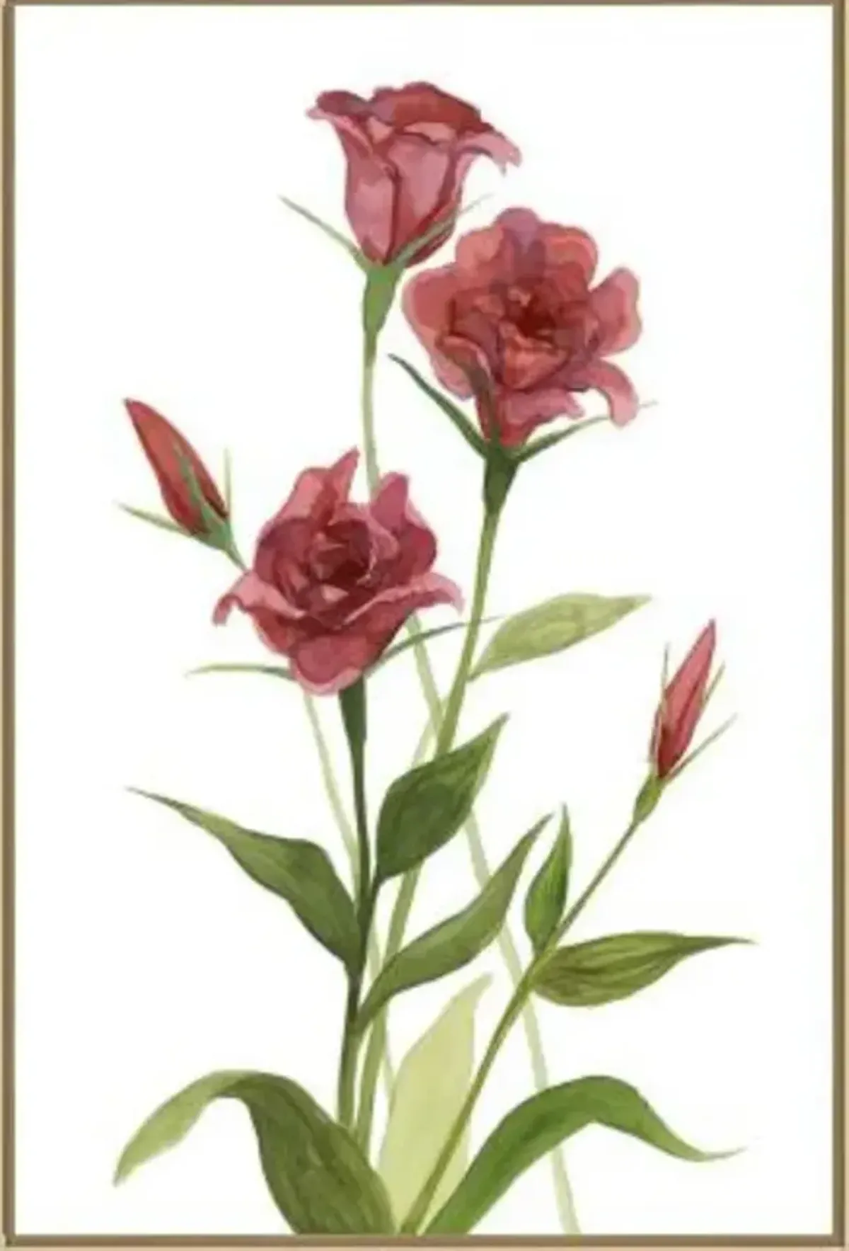 Morning Wisdom I Framed Art