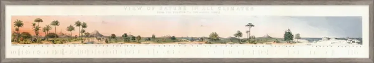 Nature In All Climates Framed Art