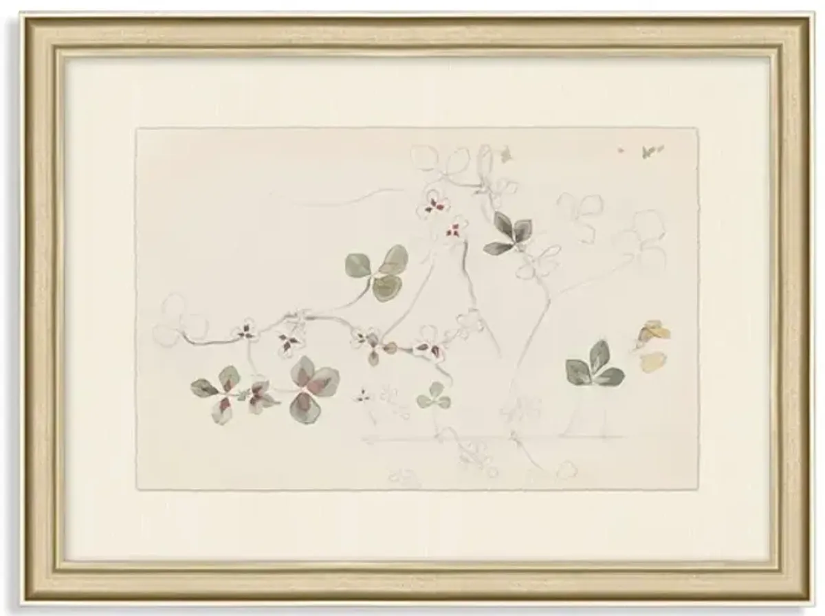 Countryside Collection 7 Framed Art