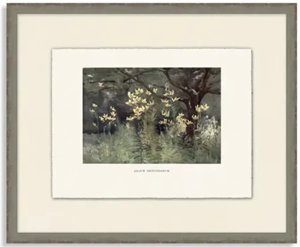 Garden Color 2 Framed Art