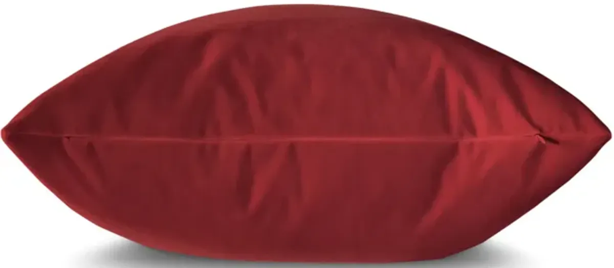 Velvet Pillow 22 