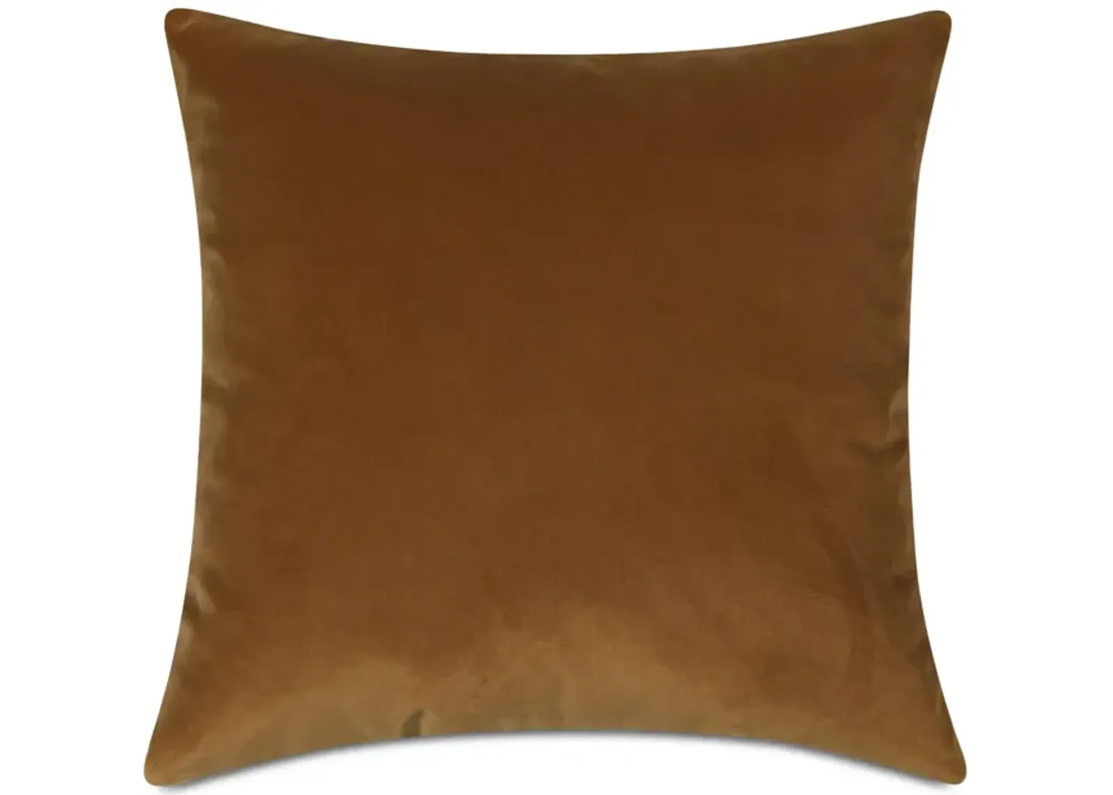 Velvet Pillow 22 