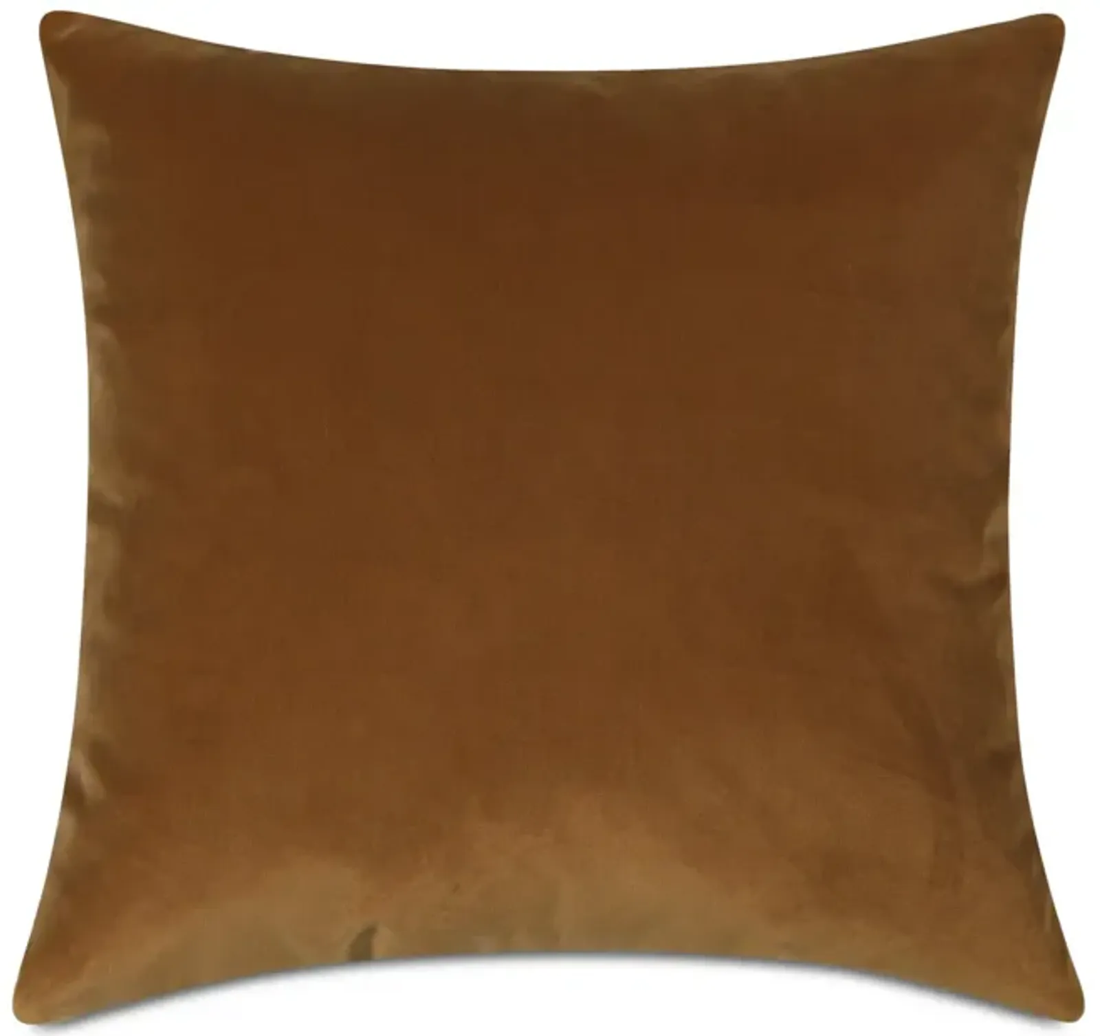 Velvet Pillow 22 