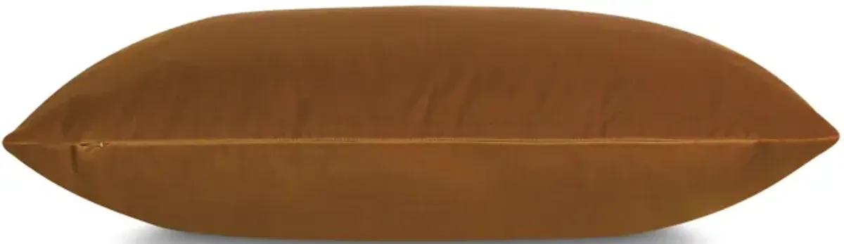 Velvet Pillow 21 