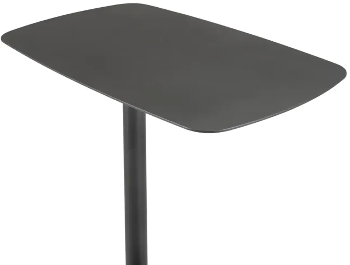 Leo Metal End Table