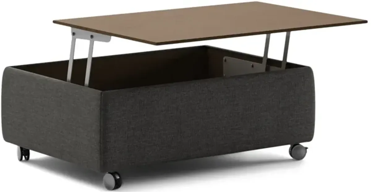 Functional Lift-top Storage Ottoman