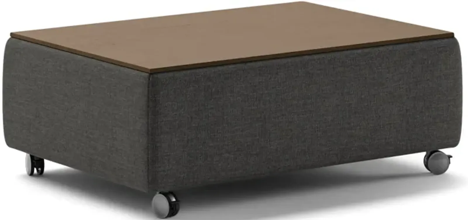 Functional Lift-top Storage Ottoman