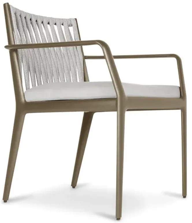 H Collection Arm Chair