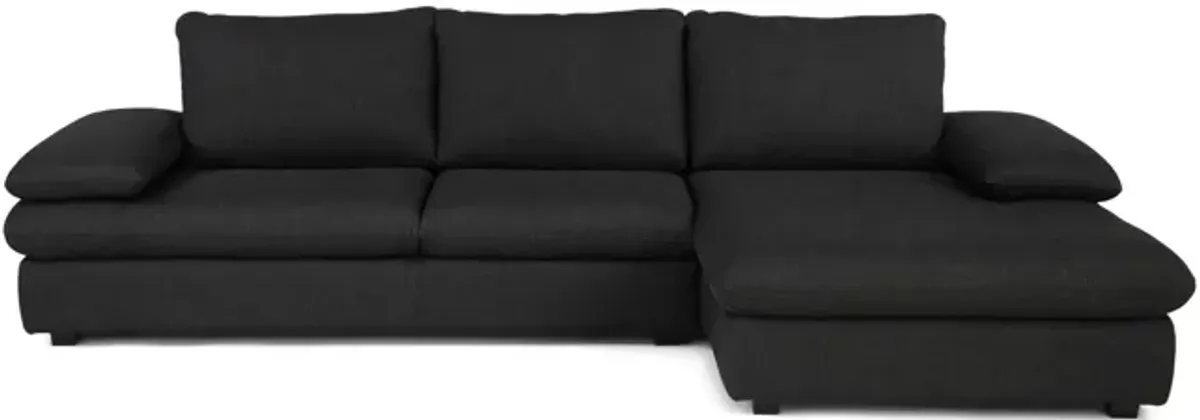 America 2 Piece Sectional