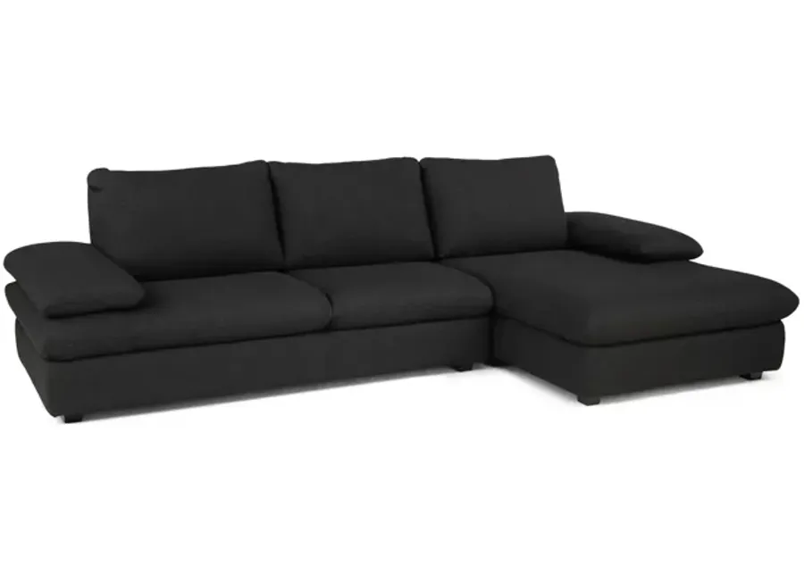 America 2 Piece Sectional