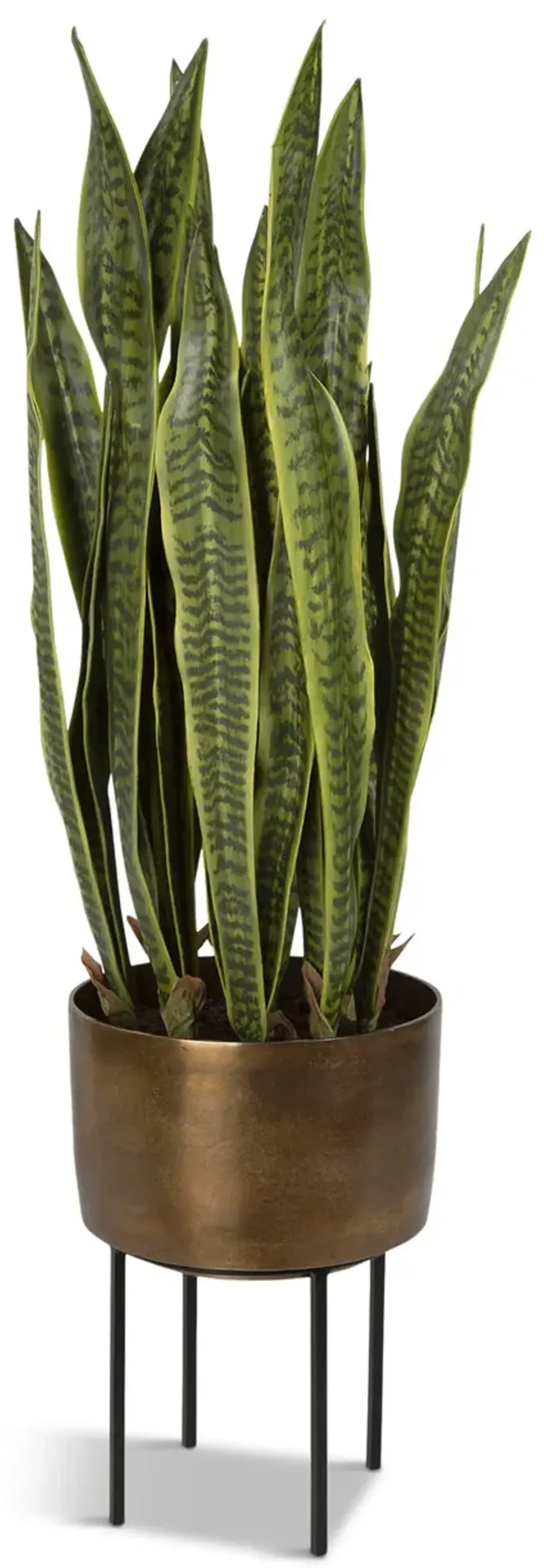 Fasita Planter