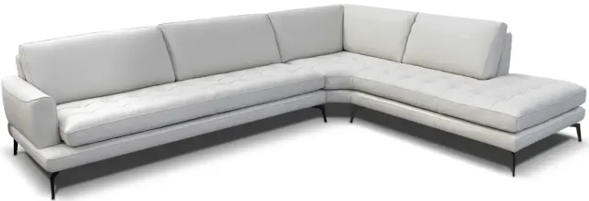 Living 2 Piece Sectional