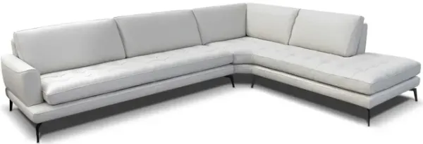 Living 2 Piece Sectional