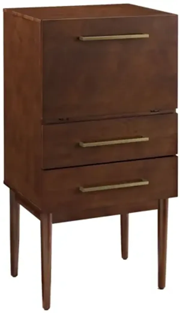 Everett Spirit Cabinet in Mahogany