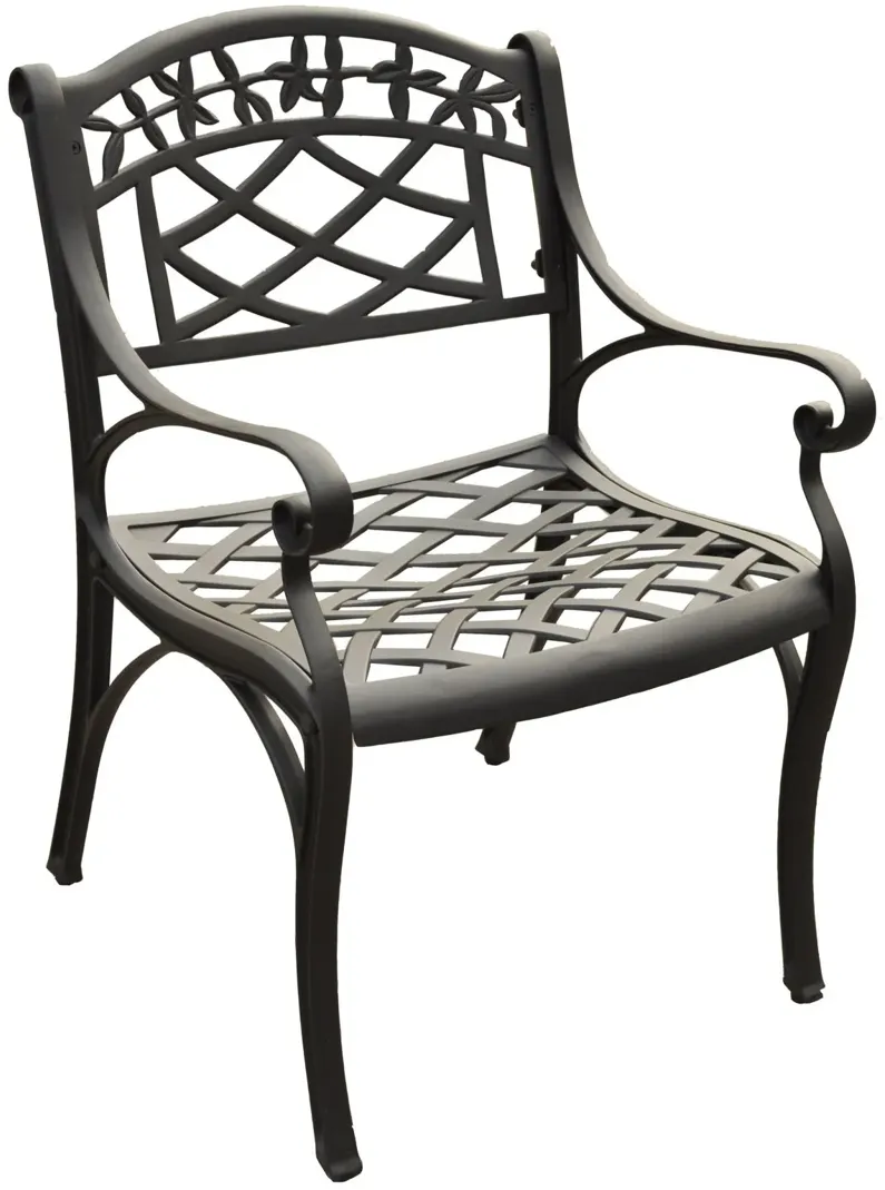 Sedona Arm Chair in Charcoal Black Set of 2