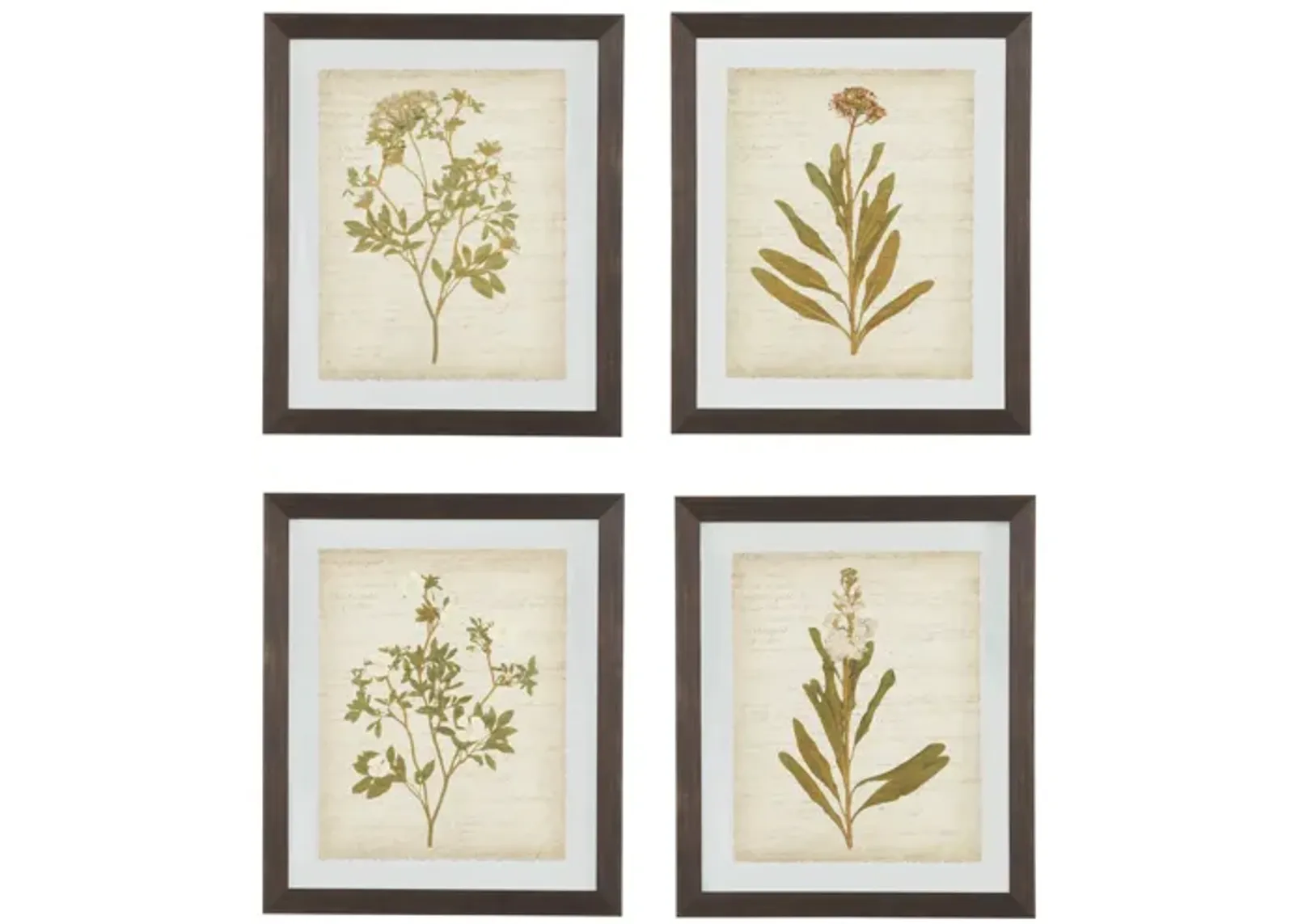 Dyani Wall Art Set of 4 by Ashley