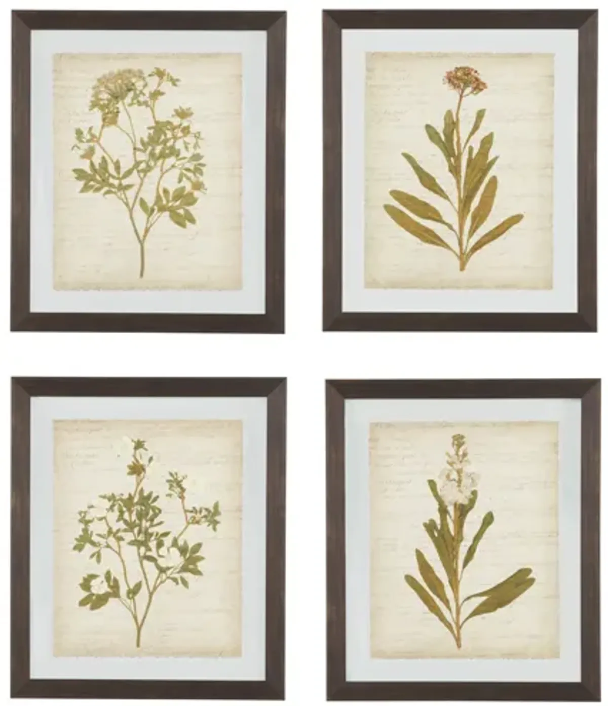 Dyani Wall Art Set of 4 by Ashley