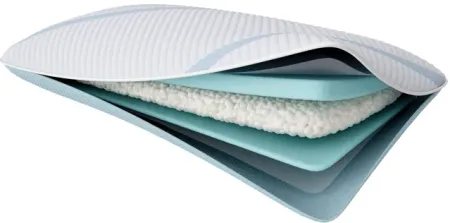 TEMPUR-Adapt ProMid + Cooling Queen Pillow