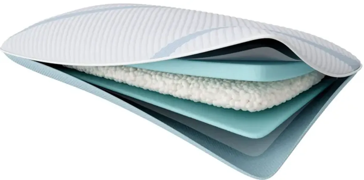 TEMPUR-Adapt ProMid + Cooling Queen Pillow